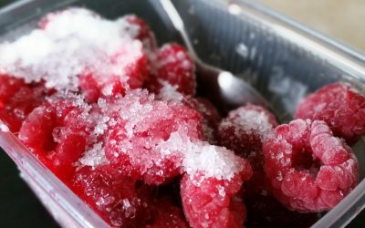 Your freezer has failed, now what?